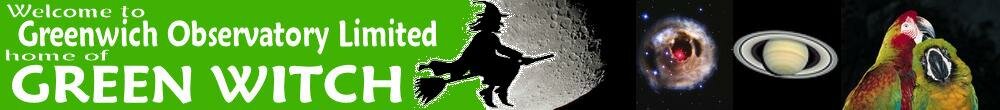 Green Witch